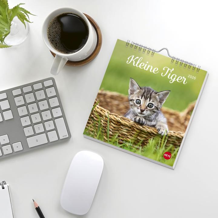 Produktbild Katzen Postkartenkalender Kleine Tiger 2026 (16 x 17 cm, Harter Einband, Deutsch)