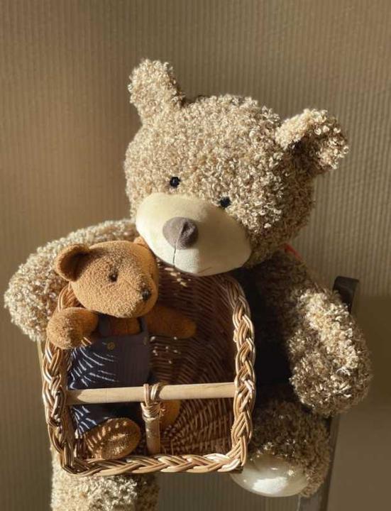 Produktbild Egmont Fahrradsitz für Puppen