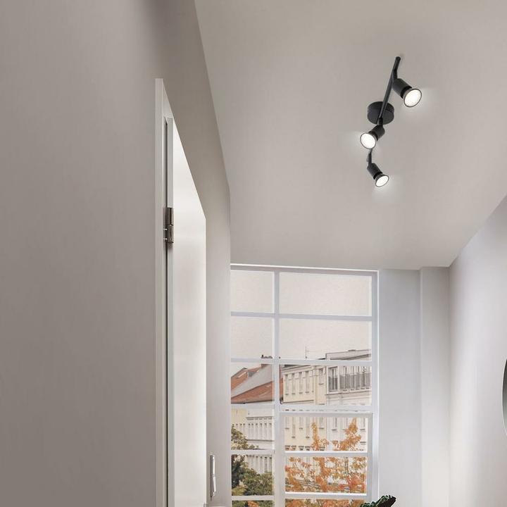 Actual product image Paulmann Spotlight Carolina (GU10)
