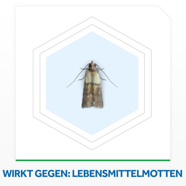 Actual product image Raid Essentials Food Moth Trap for Infestation Control