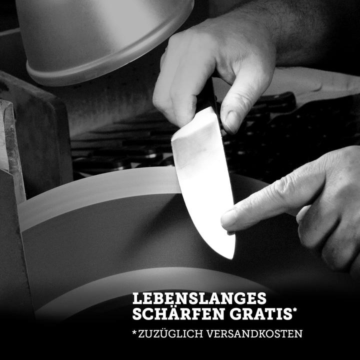 Image du produit Felix Solingen Couteau à pain (22 cm)