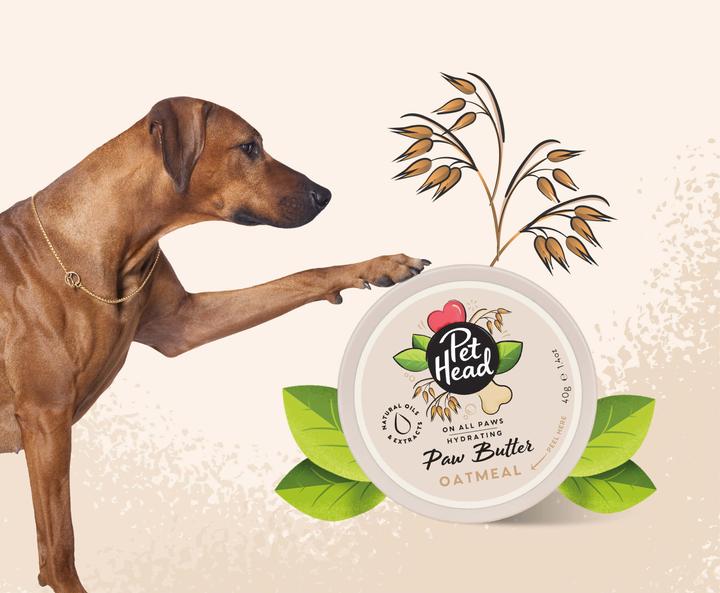 Image du produit Pet Head Paw Butter (Chien, 40 ml)