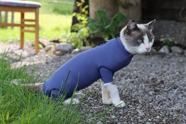 Produktbild Vetmedcare Body Katze (Katze)