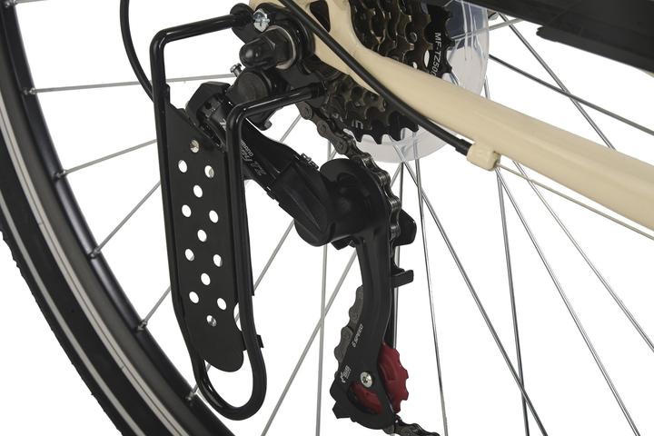 Actual product image Hollandia Dutch bike ladies 28" City Next RH 50 cm 6 gears (50 cm)