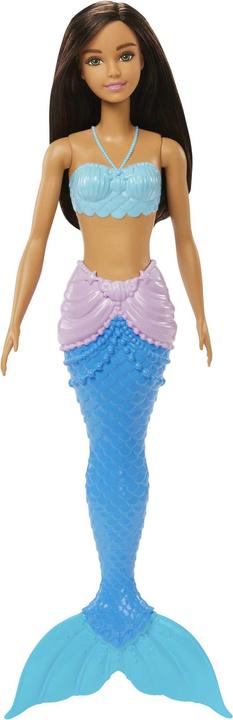 Actual product image Barbie HGR07