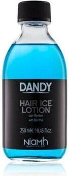 Image du produit Dandy Lotion pour les cheveux (Pâte capillaire, 250 ml)