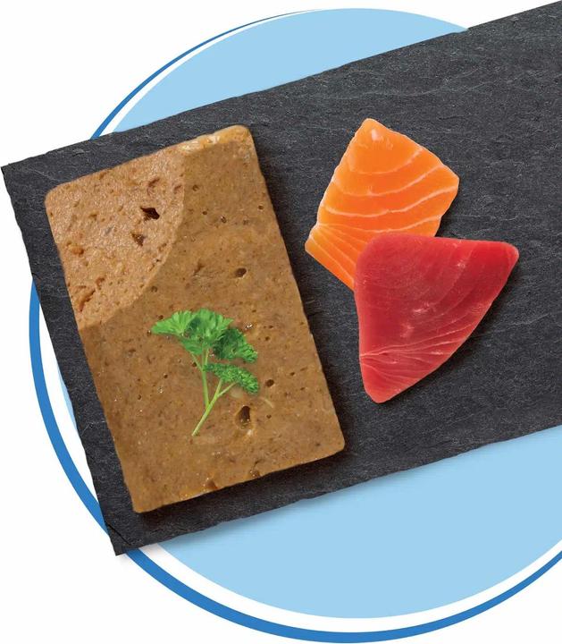 Image du produit Catit Cuisine Mousse de poisson de mer au thon & saumon (Adulte, 1 pcs, 90 g)
