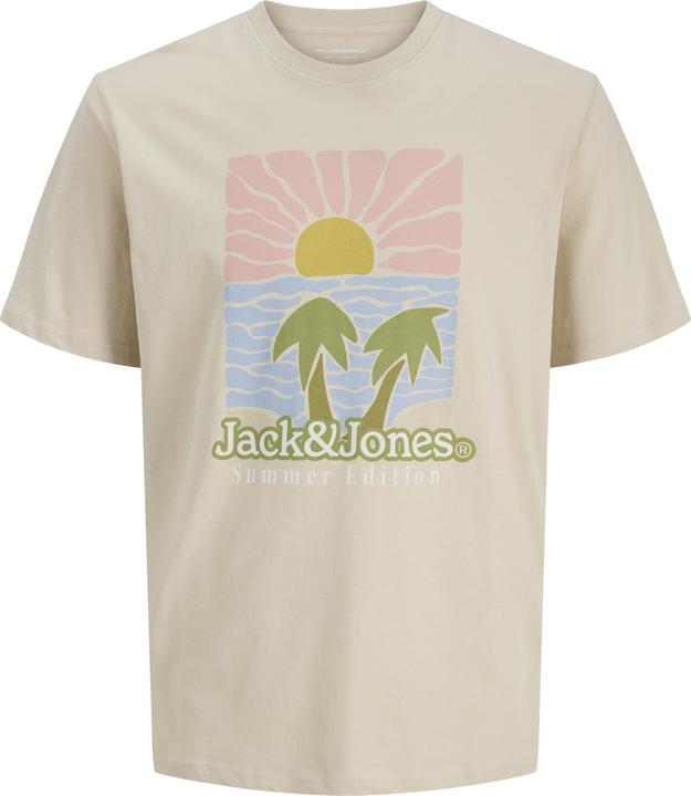 Jack & Jones Jordown Tee Ss Crew Neck Stydss25