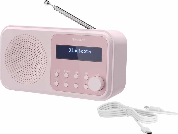 Immagine prodotto Sharp DR-P420 (DAB, FM, Bluetooth)