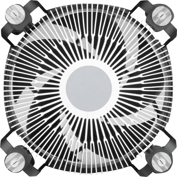 Produktbild Arctic Alpine 17 CO (77 mm)