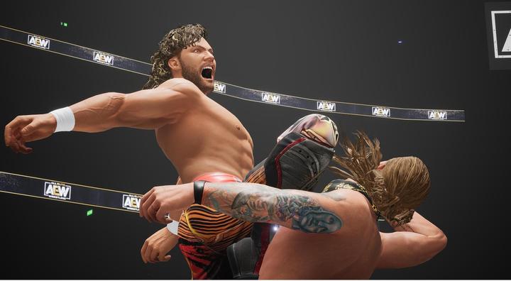 Image du produit THQ AEW : Fight Forever (PS4, PS5, DE)