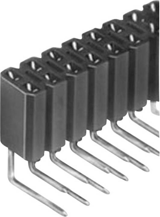 Actual product image Fischer Elektronik Socket connector RM 2.54 mm