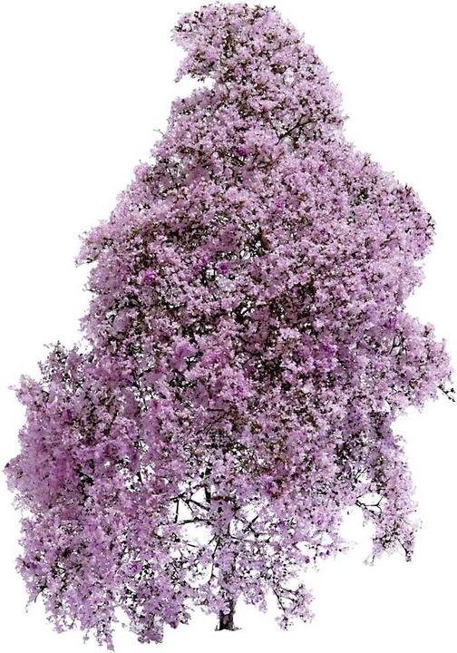 Busch Buisson en filigre violet à fleurs