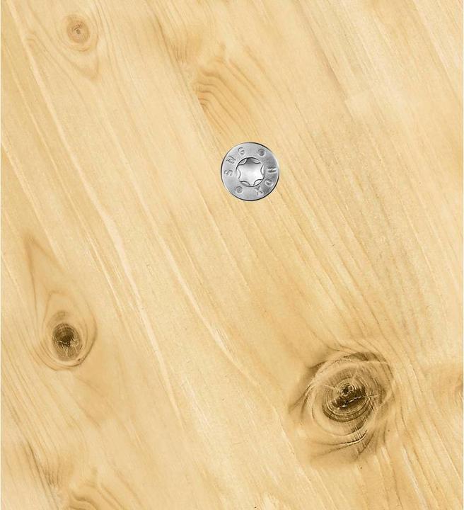 Productafbeelding SWG HOX inwendige meertandige schroeven met bit 3 X 20 staal gegalvaniseerd, goedgekeurd door de (50 Schroeven per stuk)