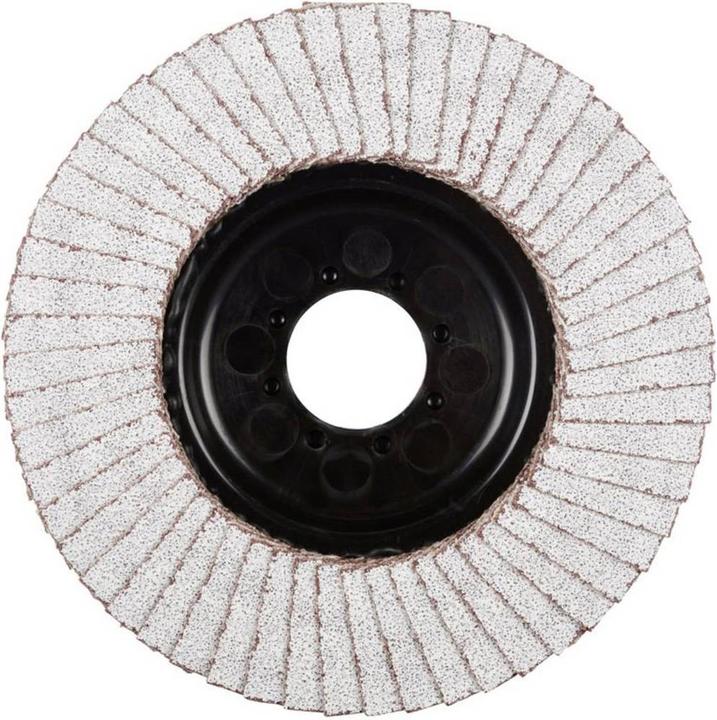 Produktbild Rhodius LGA ALU Fächerscheibe 115 x 22.23 - P60 (60)