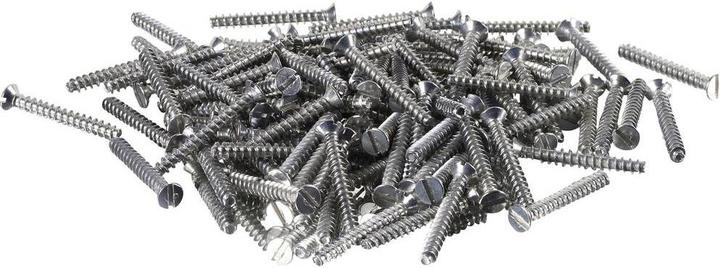 Actual product image F-Tronic Appliance screws 3.2 x 25 mm 100pcs. (100 Screws per piece)