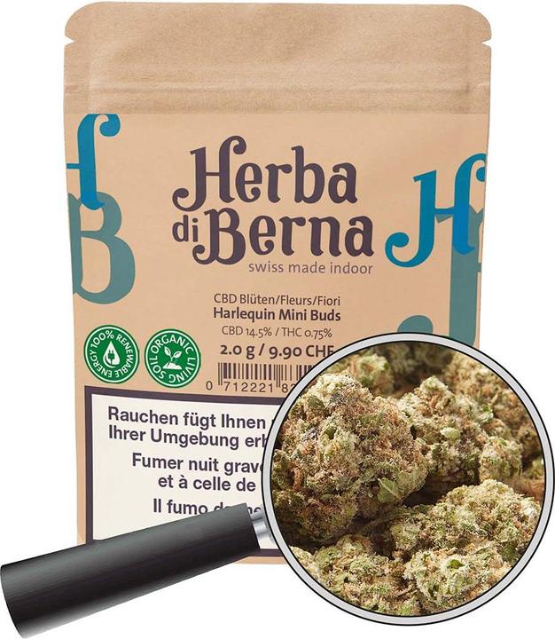 Actual product image Herba di Berna Harlequin Minibuds (21 g, Indoor)