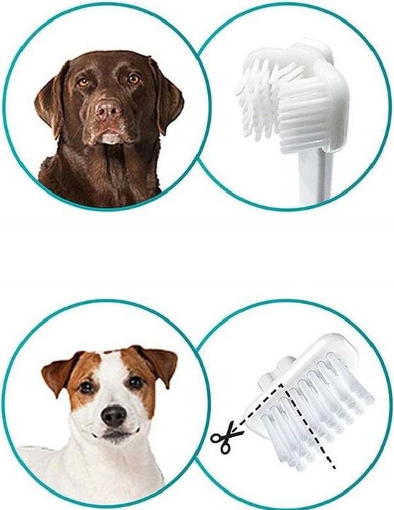 Produktbild Mira-pet Ultraschall-Zahnbürste (Hund, 2021.25 ml)
