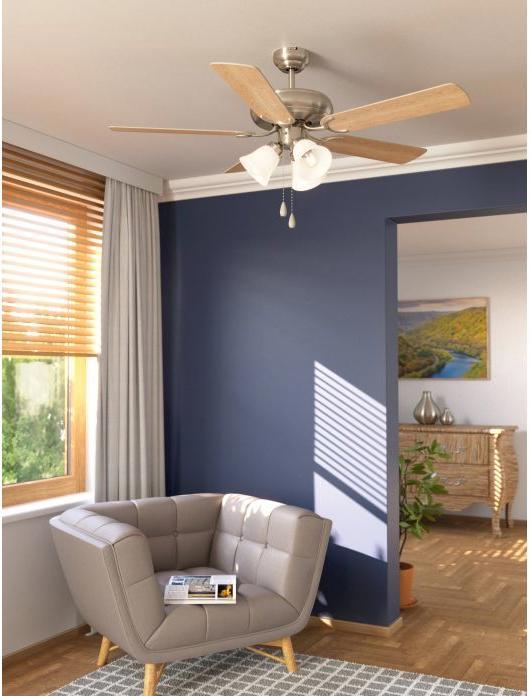 Actual product image EGLO Ceiling fan