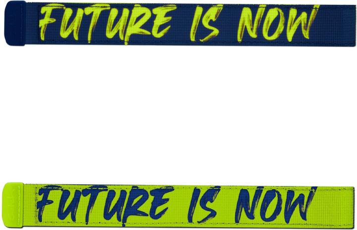 Actual product image Satch SWAPS Future Is Now