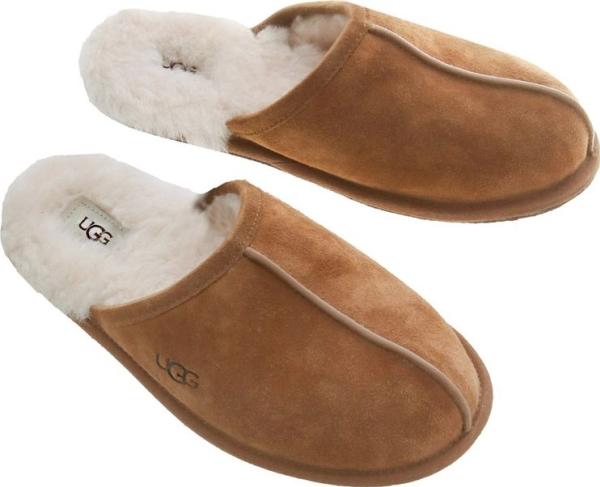 Actual product image Ugg Scuff (45)