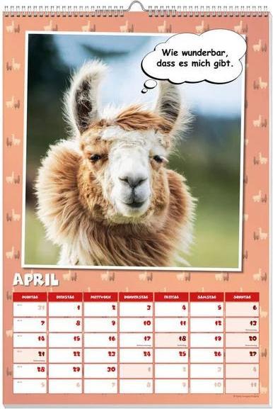 Immagine prodotto Cool calendario poster dei lama 2025 (Tedesco)