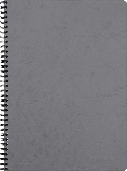 Immagine prodotto Clairefontaine borsa dell'età (AAA392, Quadretti)