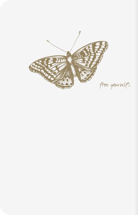 Produktbild Clairefontaine Flying Spirit (A1, Harter Einband)