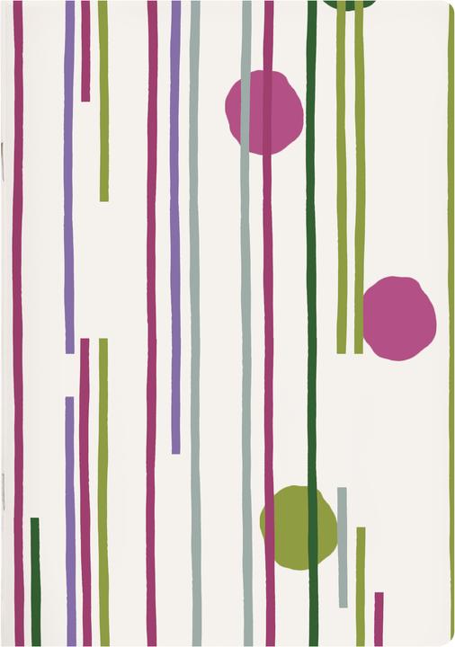 Actual product image Clairefontaine Punchy line (A5)