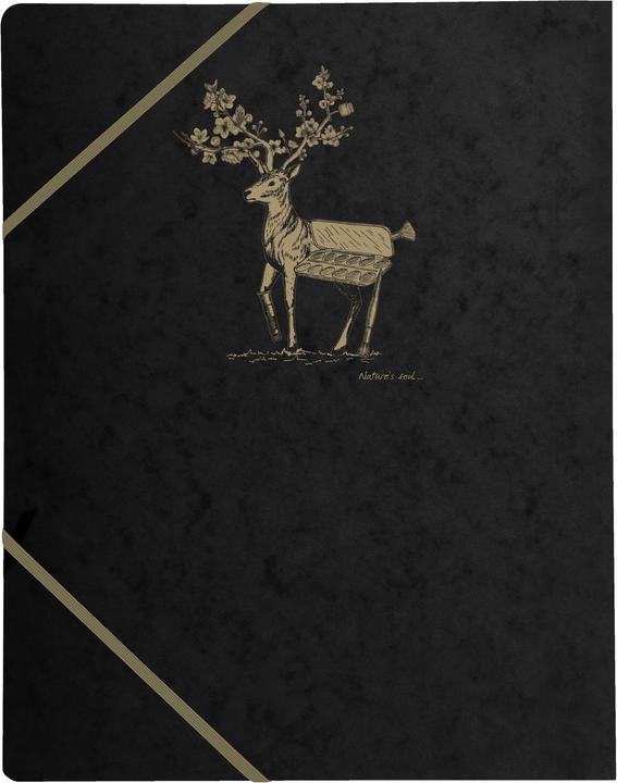 Immagine prodotto Clairefontaine Spirito Volante (320 x 240 mm, 1 x)