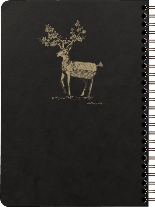 Image du produit Clairefontaine Flying Spirit (A5, À rayures)