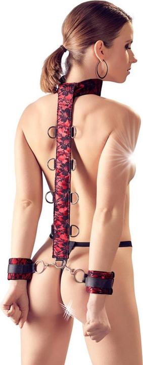Actual product image Bad Kitty Neck cuff