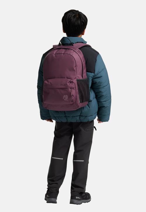 Actual product image Jack Wolfskin Back To School 25