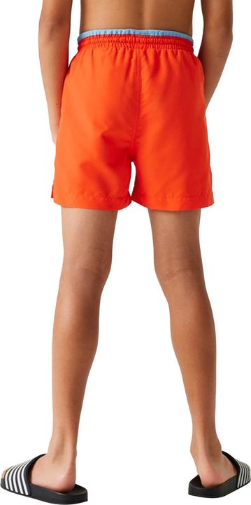 Produktbild Regatta Skander III Kurze Hose (104)