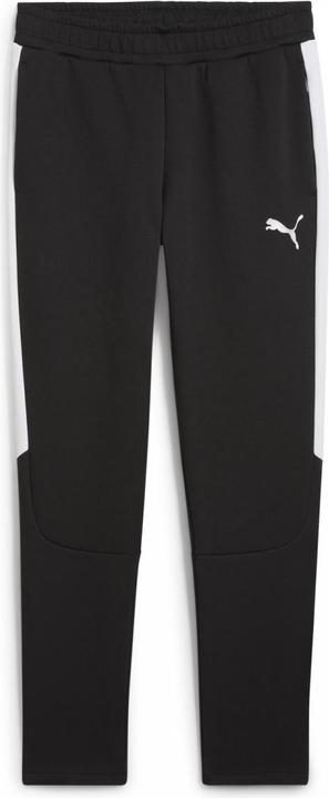 Actual product image Puma teamEVOSTRIPE Pants (XL)