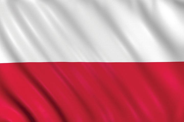 Actual product image Amscan Polyester Poland Flag