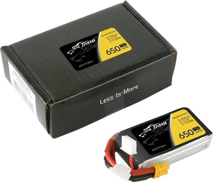 Actual product image Tattu RC Battery LiPo 650 mAh 11.1 V 75C (11.10 V, 650 mAh)
