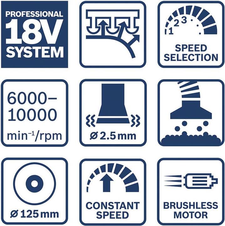 Actual product image Bosch Professional GEX 18V-125 (Eccentric grinder)