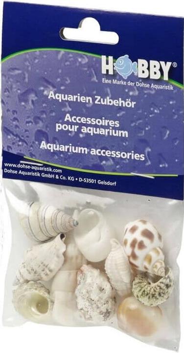 Produktbild Hobby Aquariumdekoration Schneckenhäuser Sea Shells Set M 10 Stück (sonstige Gegenstände)