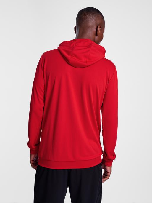 Actual product image hummel Hmlauthentic Pl Hoodie (S)