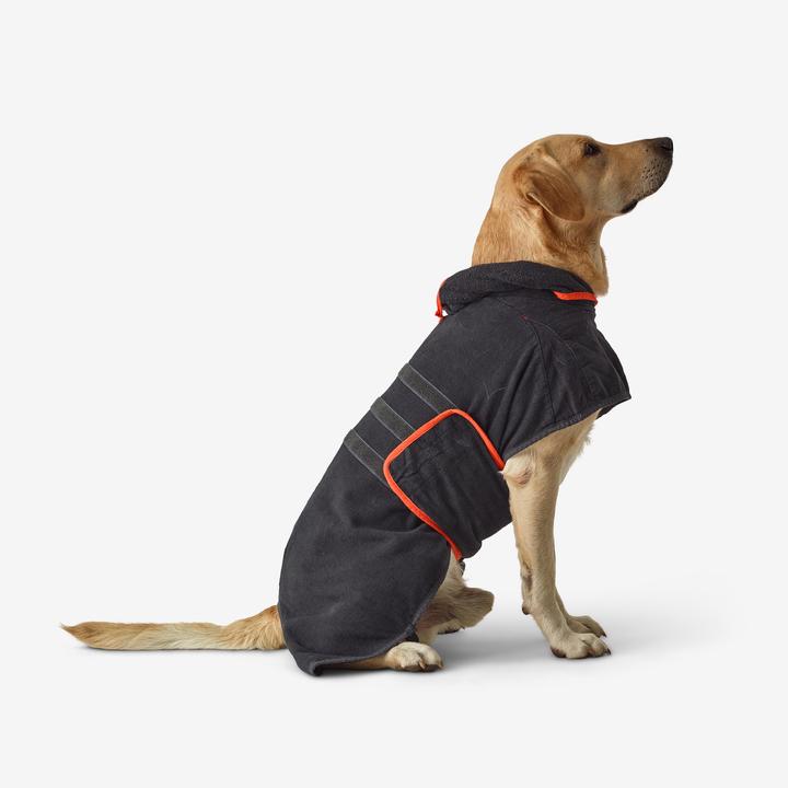 Produktbild Solognac Hundeweste (S, Hundeweste)