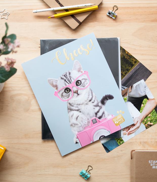 Produktbild Grupo Erik Photo Album - Studio Pets Cat Tabby (13 x 20 cm)