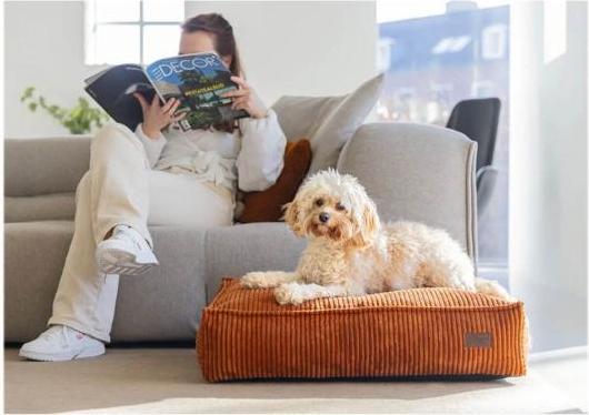Actual product image Designed by Lotte DBL COUCH CUSHION RIBBED TERRA 100X70X15 (Dog)
