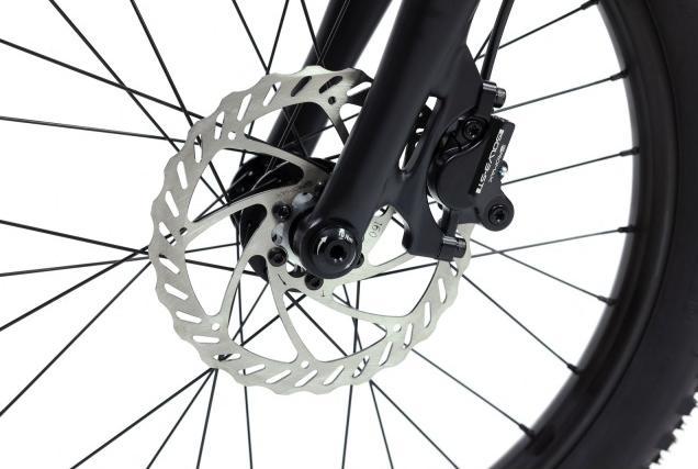 Actual product image Rascal Bikes Rascal Wild 20 (20")