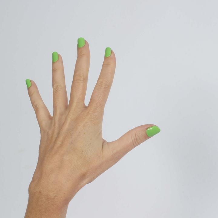 Image du produit Vargu vert solide (Vert solide Vert)