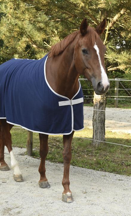 Image du produit Kerbl RugBe (145 cm)