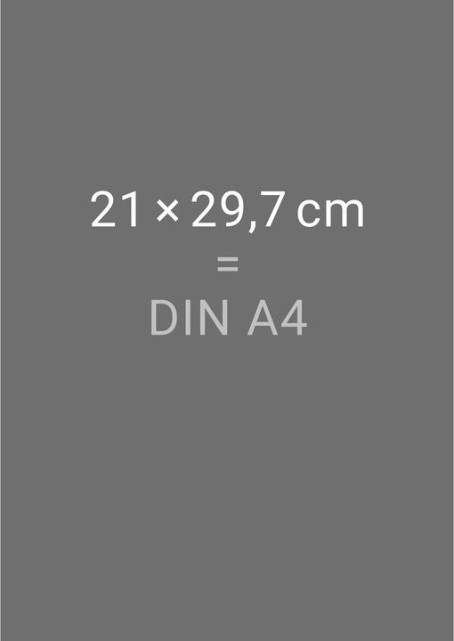 Produktbild Loriot Heile Welt Halbmonatskalender 2026 (Deutsch)
