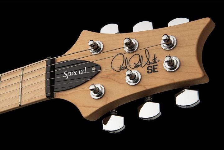 Immagine prodotto PRS Speciale frassino di palude (Chitarra elettrica, Acero, Frassino di palude, mogano)