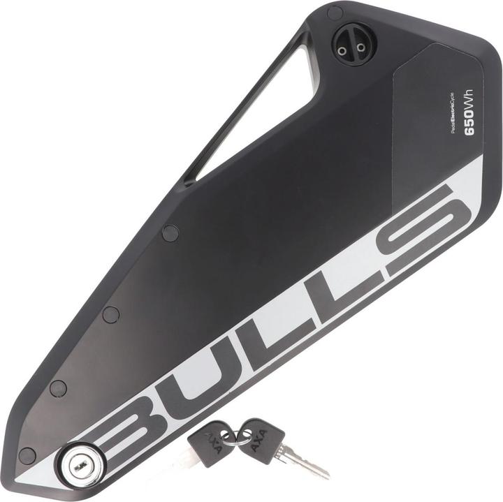 BMZ E-Bike Akku Bulls Green Mover 36V Rosenberger System, BROSE-CAN BUS Kontakt