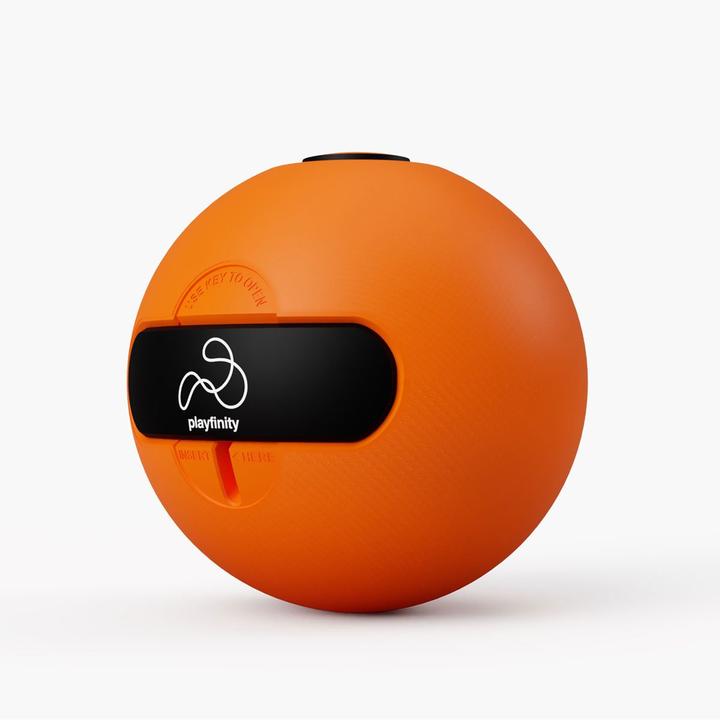 Produktbild Playfinity Speedy Ball